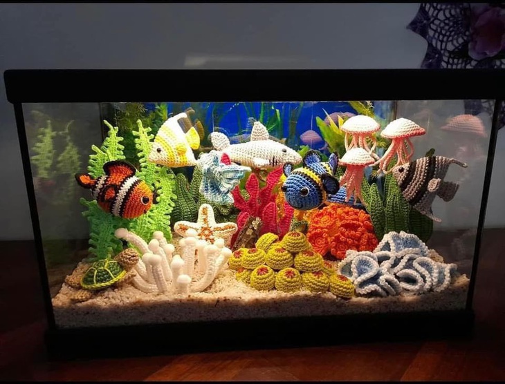 Nuôi cá này chẳng cần dọn bể.