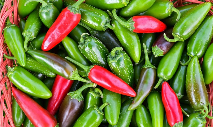 Ớt jalapeños