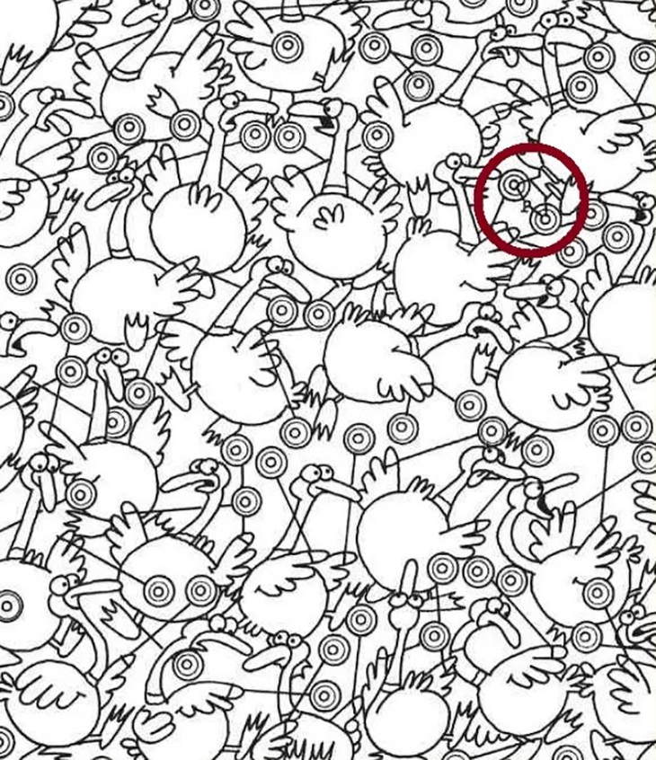 Thử tài tinh mắt: Con chó của chàng trai đang ở đâu?- Ảnh 4.