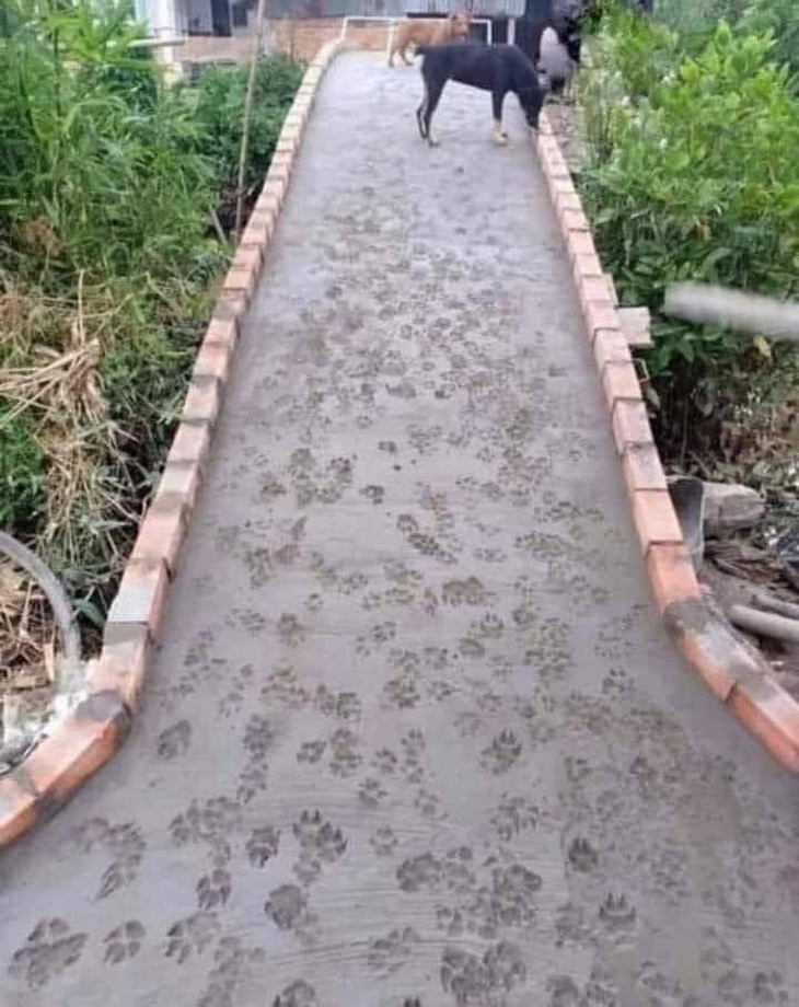 Đảm bảo đường không bao giờ trơn. 