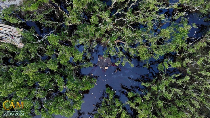 Lâm Thanh Mỹ gây sốc với tạo hình đáng sợ nhất sự nghiệp- Ảnh 8.