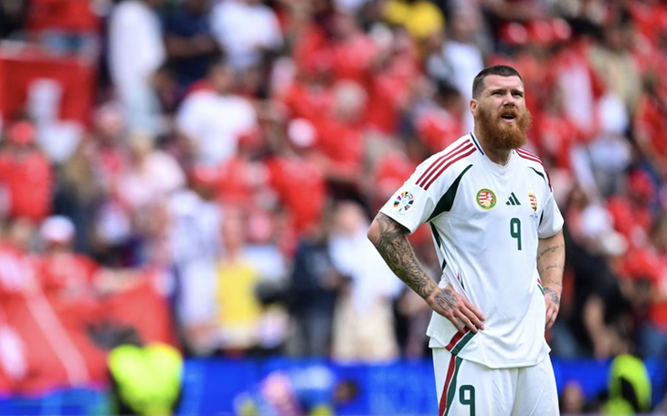 Vé chợ đen trận tuyển Đức gặp Tây Ban Nha ở Euro 2024 'phỏng tay'- Ảnh 4.