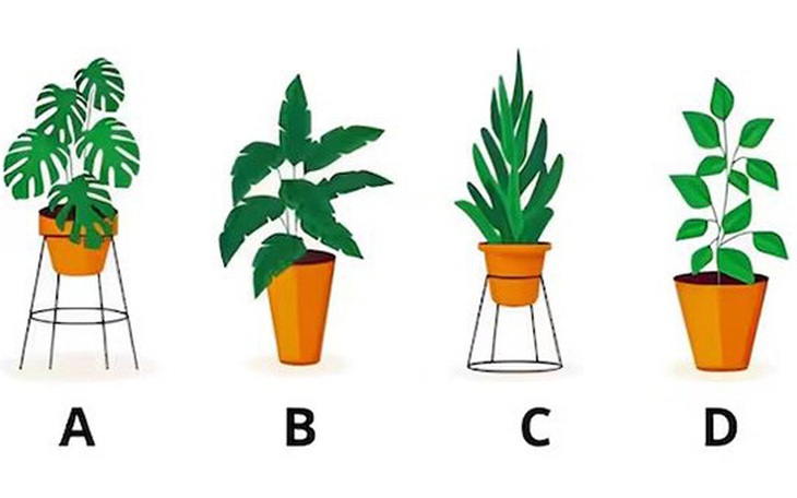 Quiz: Đọc vị tính cách thú vị của bạn qua bông hoa yêu thích - Ảnh 4.