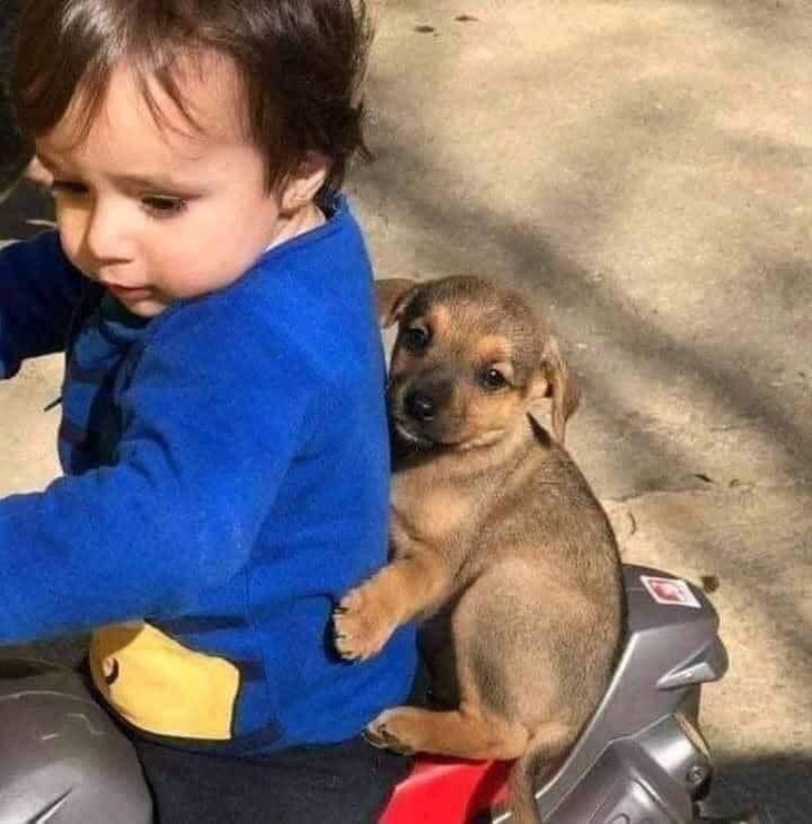 Ảnh vui 2-8: Cách vẽ một con cú gồm 2 bước đơn giản- Ảnh 2.