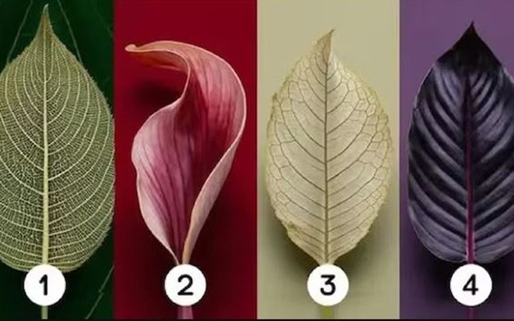 Quiz: Bạn coi trọng điều gì nhất trong mối quan hệ với người ấy? - Ảnh 4.