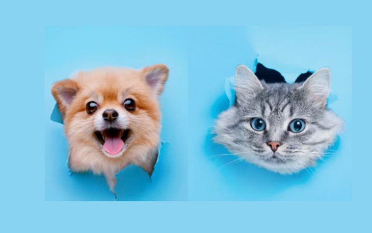 Quiz: Khám phá khí chất thực sự của bạn qua hình ảnh trực quan - Ảnh 2.