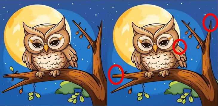 Thử tài tinh mắt: Con chó của cặp đôi đang trốn ở đâu?- Ảnh 6.