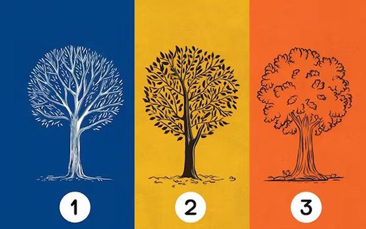 Quiz: Hình ảnh tiết lộ mức độ khôn ngoan, khéo léo của bạn