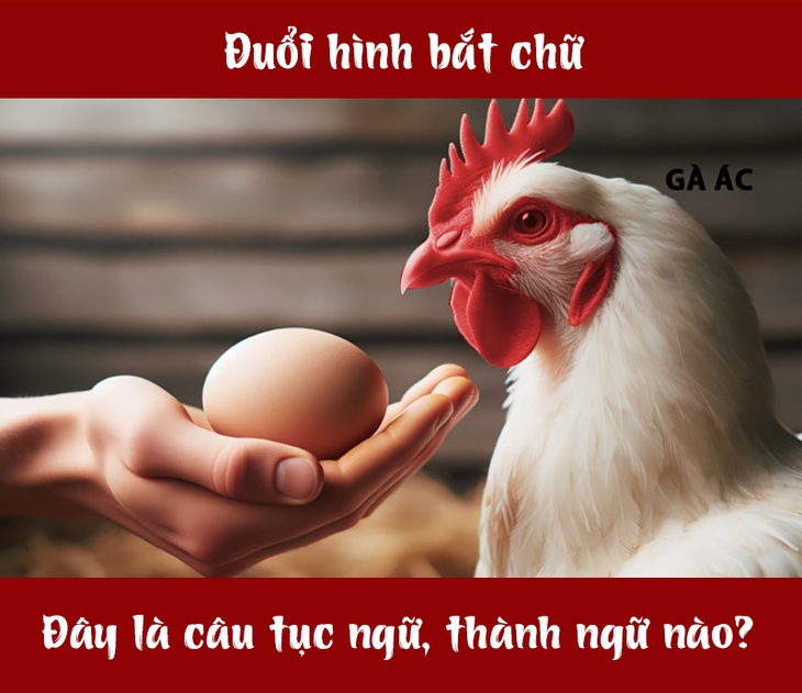 IQ cao có đoán được đây là câu tục ngữ, thành ngữ gì? (P109)- Ảnh 1.