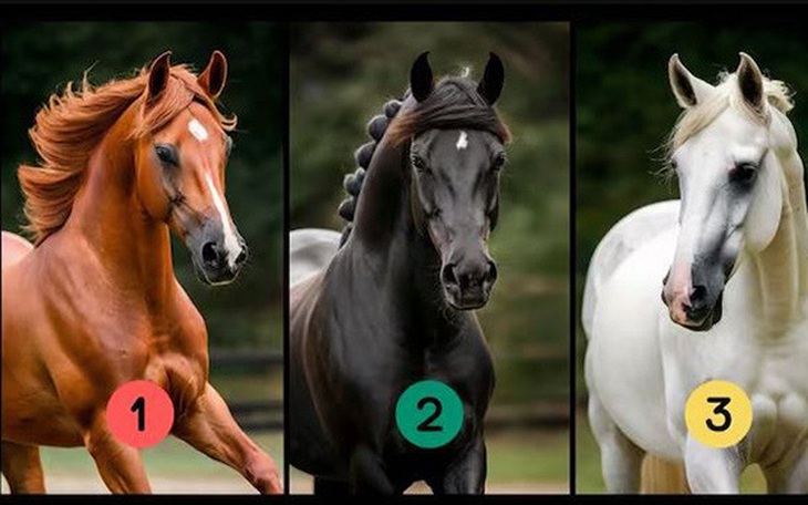 Quiz: Khám phá mức độ mạnh mẽ trong con người bạn