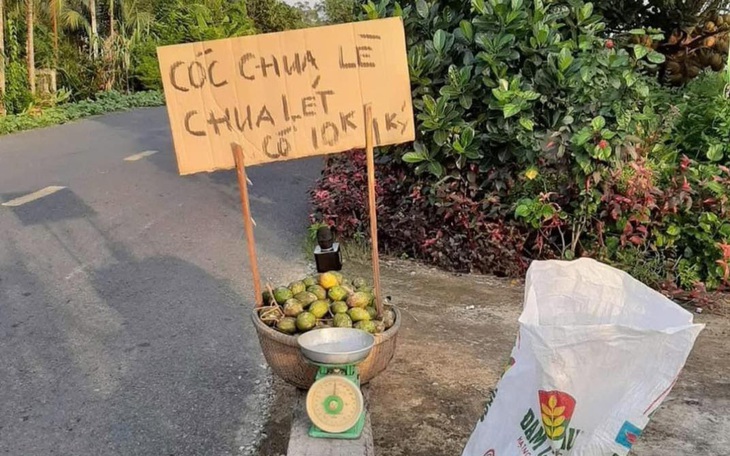 Flappy Bird sẽ quay trở lại, cha đẻ tuyên bố 'không liên quan' - Ảnh 3.