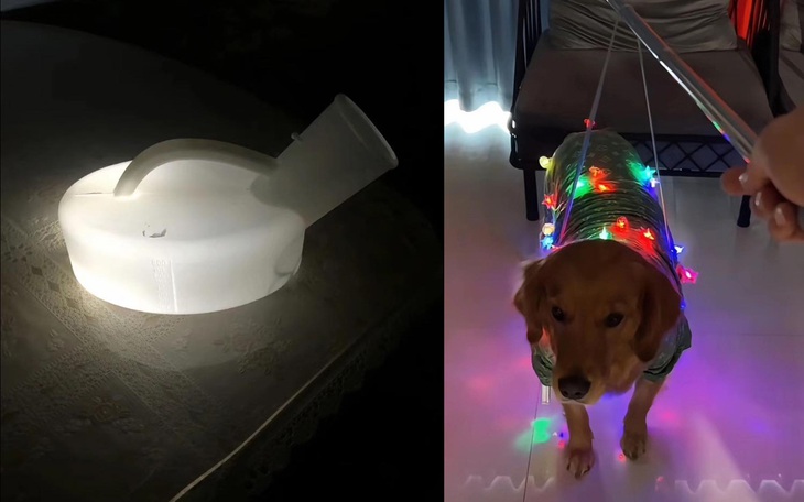 Có triệu fan sau khi 'đập đi xây lại' gương mặt của mình - Ảnh 4.