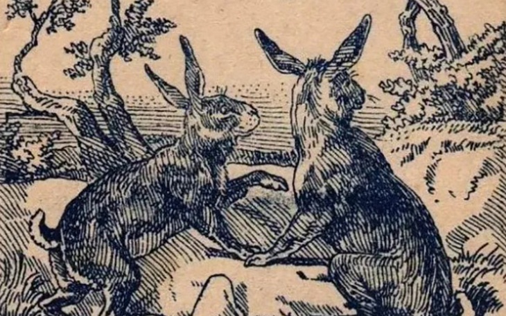 Thử tài tinh mắt: - Ảnh 1.