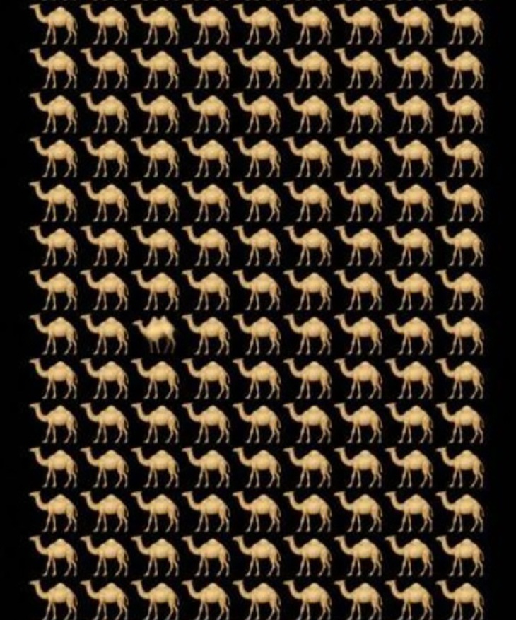 Thử tài tinh mắt: Bạn trai cô gái đứng ở đâu? - Ảnh 2.