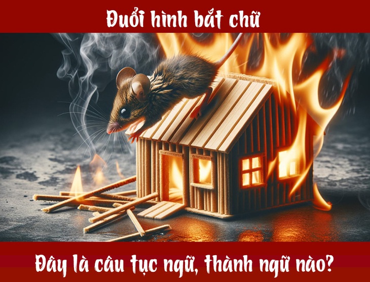 IQ cao có đoán được đây là câu tục ngữ, thành ngữ gì? (P122) - Ảnh 1.