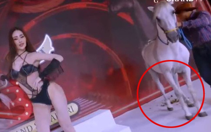 Ảnh vui 10-9: Cơn gió thổi bay bảng hiệu tạo chữ 'lo âu' - Ảnh 9.