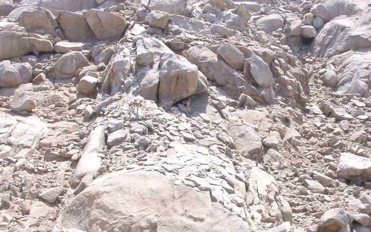 Mắt 10/10 mới thấy con vịt ẩn giấu ở đâu - Ảnh 8.