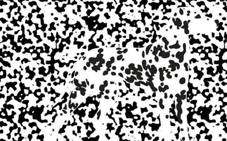 Tỉnh duy nhất Việt Nam có hai chữ 'Ê'? - Ảnh 9.