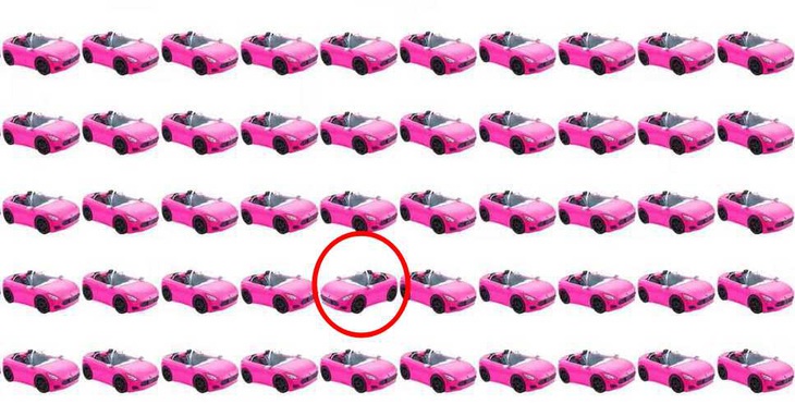 Con báo ẩn nấp ở đâu? - Ảnh 1.