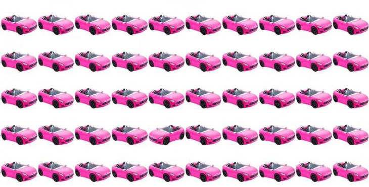 Con báo ẩn nấp ở đâu? - Ảnh 2.