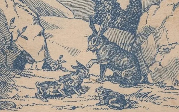 Thử tài tinh mắt: Con gái của bà cụ ở đâu? - Ảnh 7.