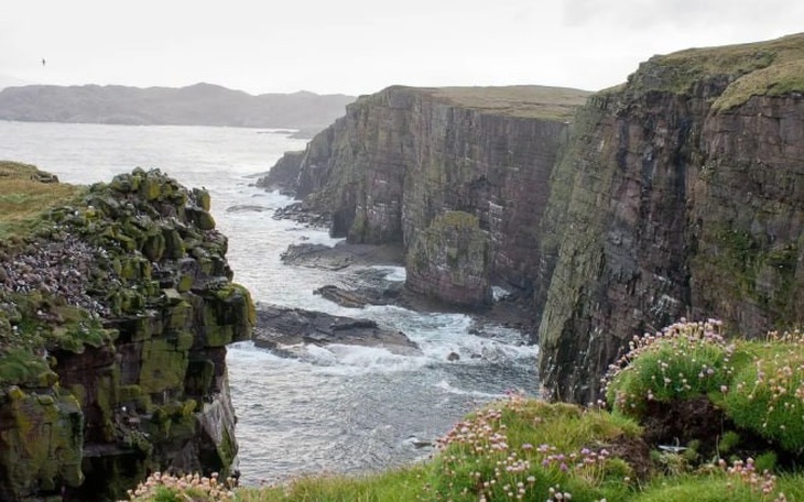 Bé Na Bình Định đu trend, netizen nhắc 'đừng vượt mức pickleball' - Ảnh 5.