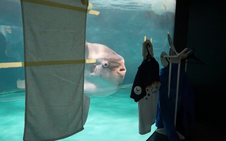 Ảnh vui 25-1: Đi thuê trọ gặp được bút tích của 'anh Toàn đạo lý' - Ảnh 8.