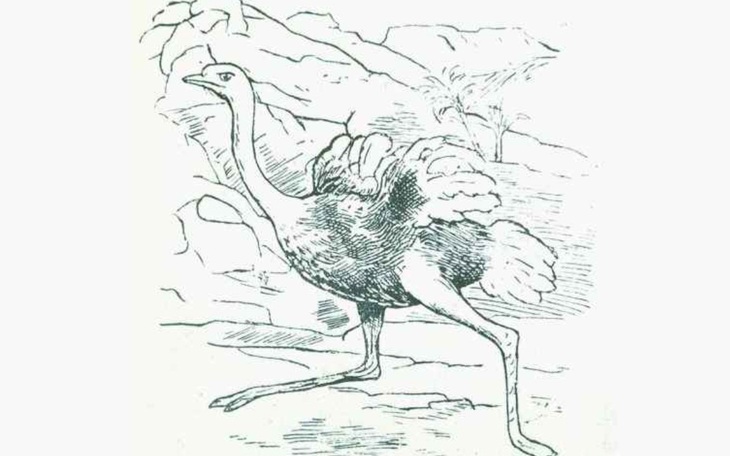 Thử tài tinh mắt: Con chó thứ 4 ở đâu? - Ảnh 8.