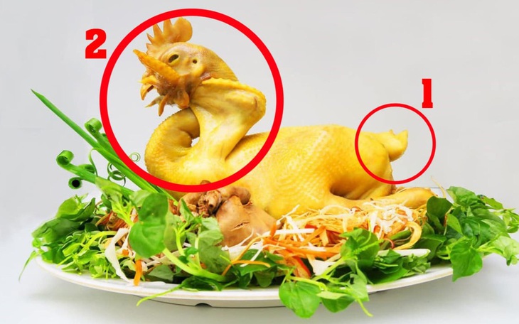 Câu tục ngữ, thành ngữ 'khó nhằn' này là gì? (P83) - Ảnh 5.