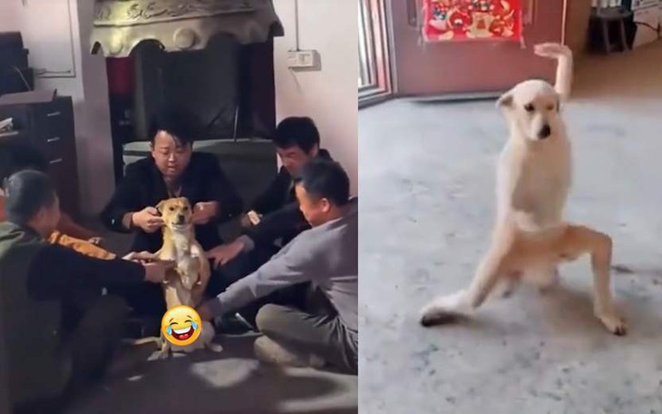 Thử tài IQ: Di chuyển một que diêm để 9+11=6 thành phép tính đúng - Ảnh 11.