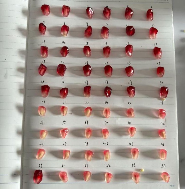 phun môi - Ảnh 6.