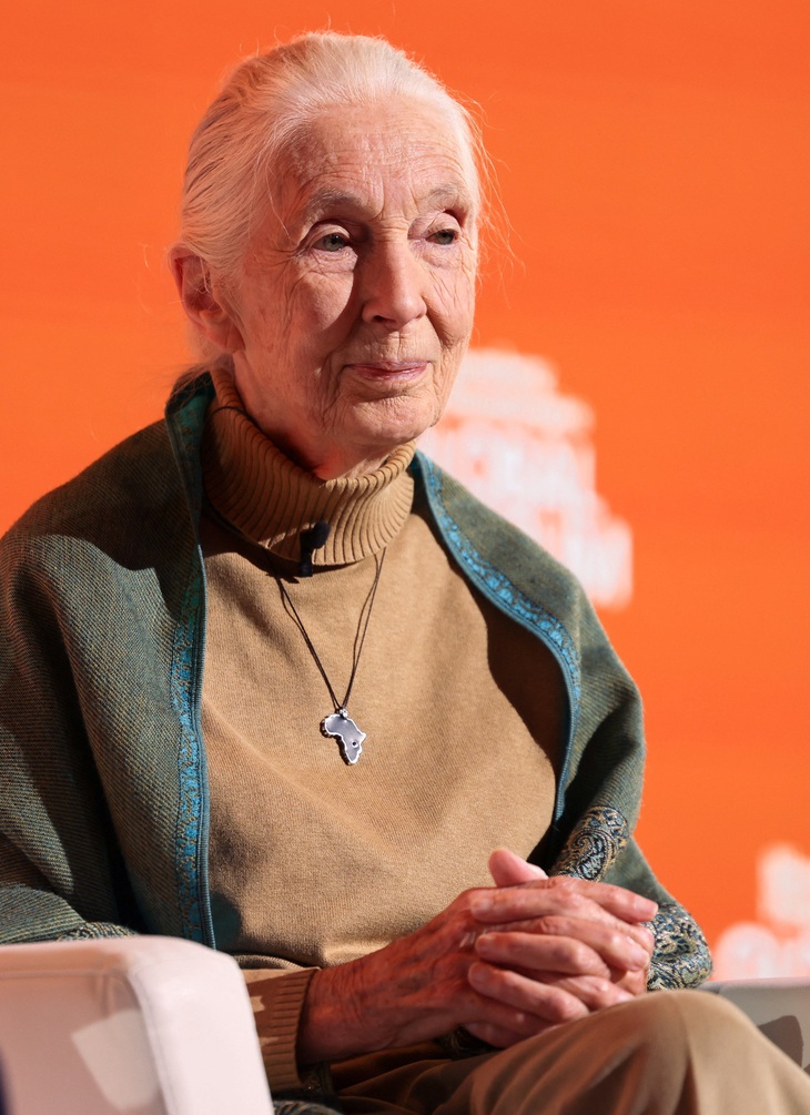Vĩnh biệt Jane Goodall: chiến binh bảo vệ môi trường vĩ đại nhất - Ảnh 9.