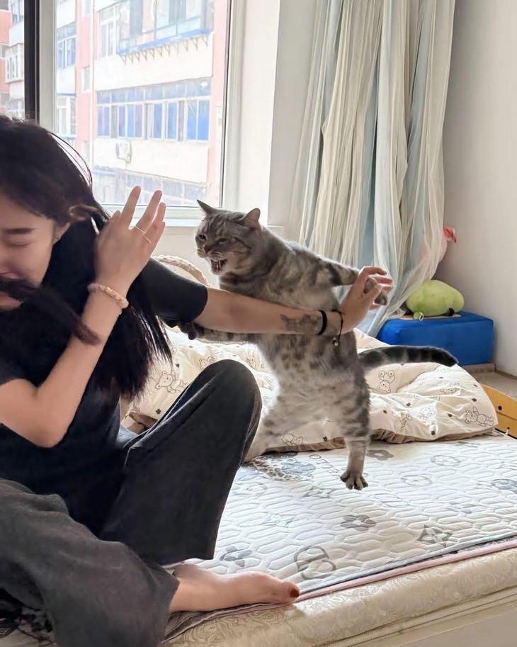 dương đông kích tây - Ảnh 6.