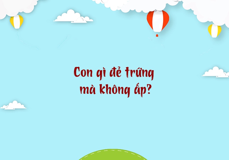 câu đố - Ảnh 3.