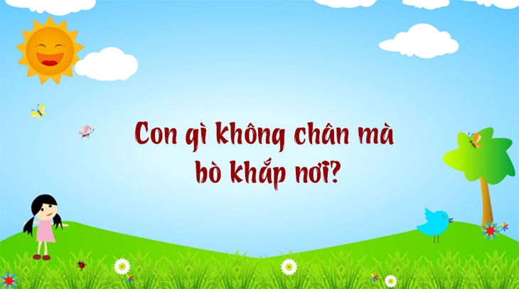 câu đố - Ảnh 5.