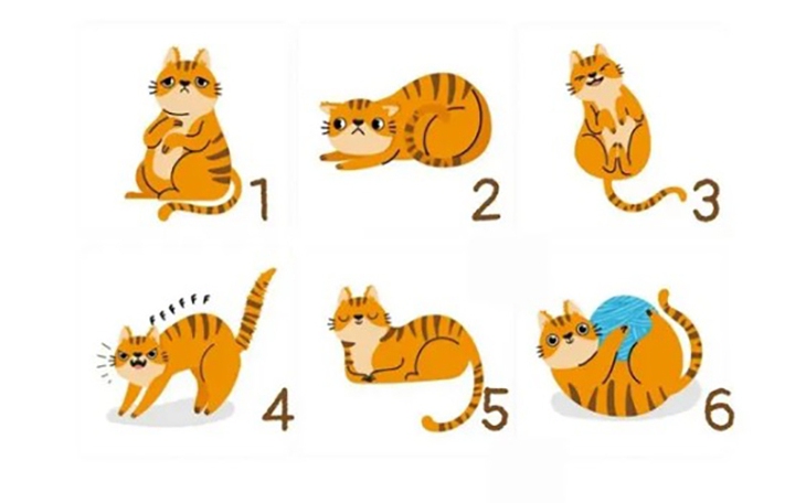 Quiz: Bạn vượt trội hơn người khác ở điểm nào? - Ảnh 4.