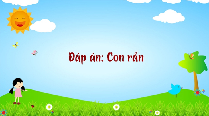 câu đố - Ảnh 6.