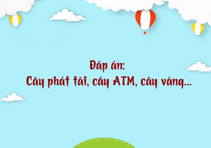 câu đố - Ảnh 4.