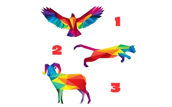 Quiz: Bạn vượt trội hơn người khác ở điểm nào? - Ảnh 3.