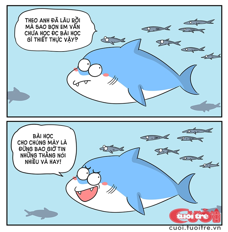 cá mập - Ảnh 1.