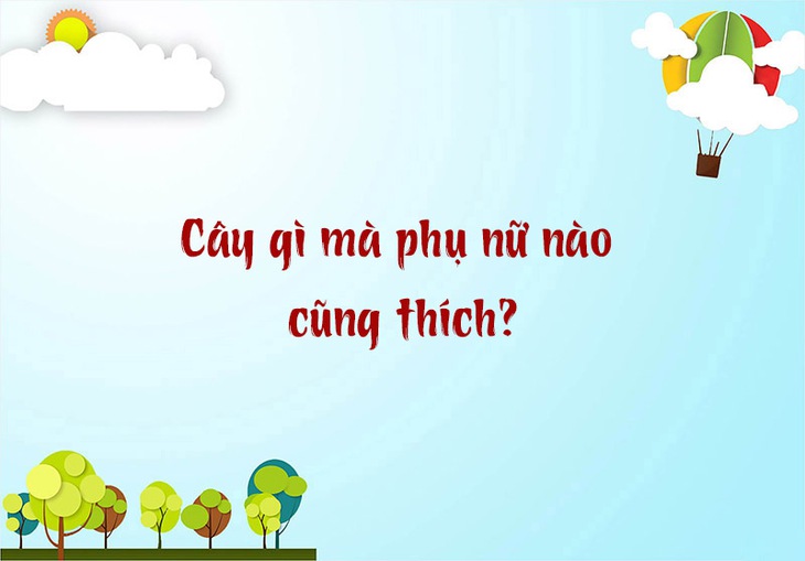 câu đố - Ảnh 2.