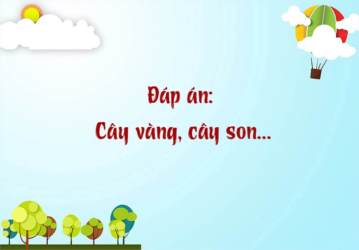 câu đố - Ảnh 1.