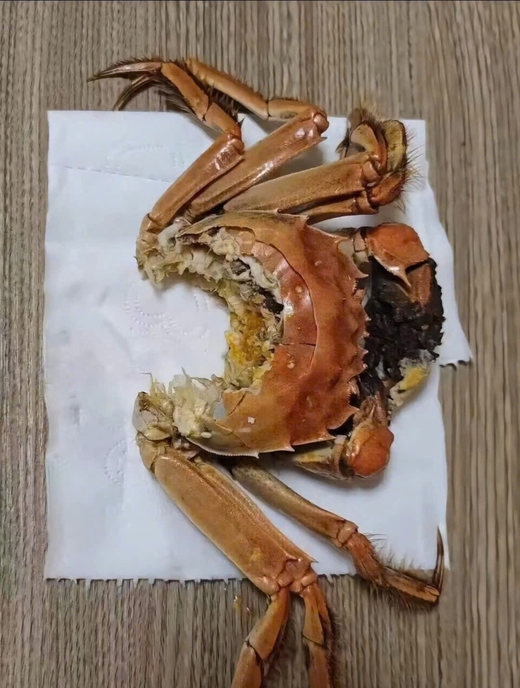 đèn đỏ - Ảnh 5.