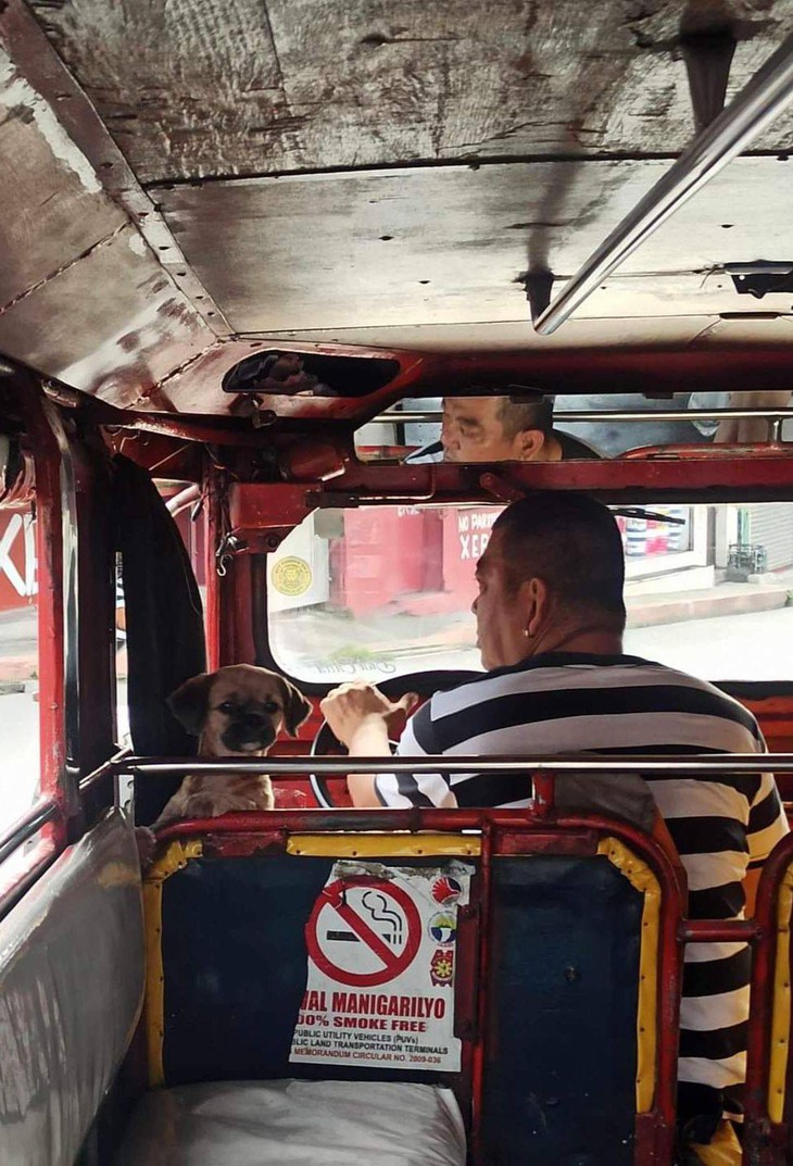 đèn đỏ - Ảnh 3.