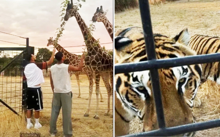 Tuyển Anh mang giày ‘thay đổi tâm trí’ trước trận gặp Serbia - Ảnh 2.