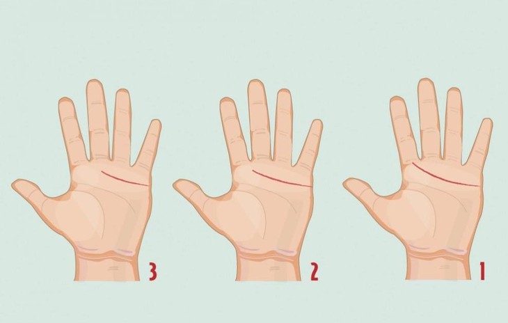 đường chỉ tay  - Ảnh 1.