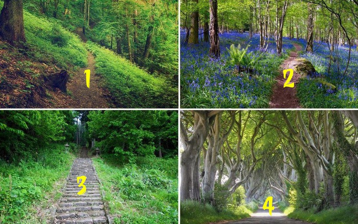 Quiz: Bạn chân thật hay là người nhanh nhạy, quyết đoán? - Ảnh 4.