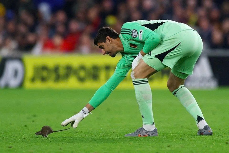 World Cup - Ảnh 1.