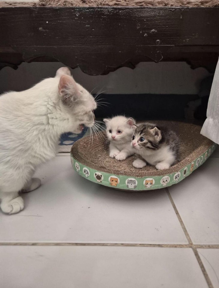 bản kiểm điểm - Ảnh 6.