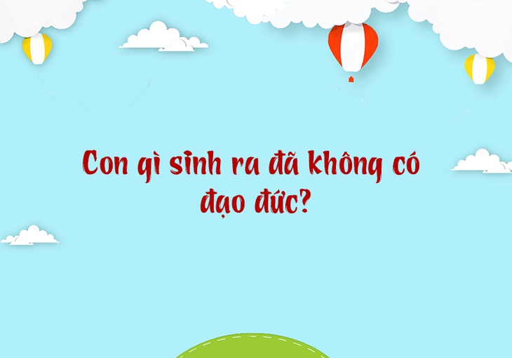 câu đố - Ảnh 3.
